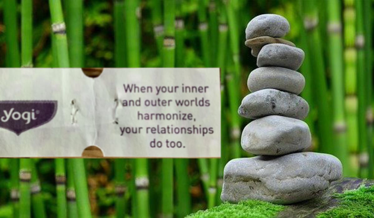 yogi tea - harmonize